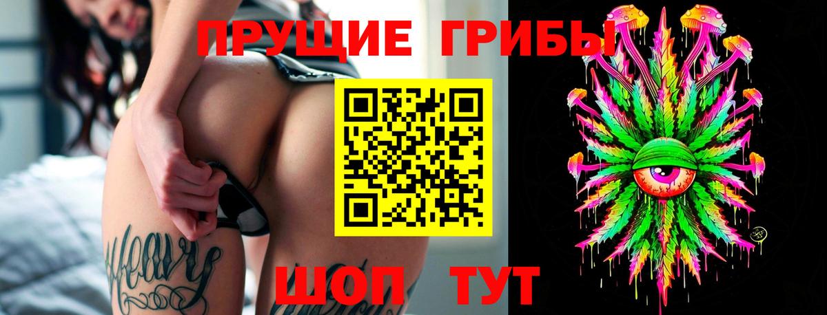 Псилоцибиновые грибы Psilocybine cubensis  Вход с VPN  Жуковский  Псилоцибиновые грибы Psilocybine cubensis 